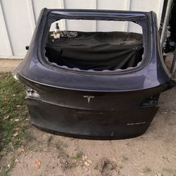 Model Y Tailgate 2020   2024