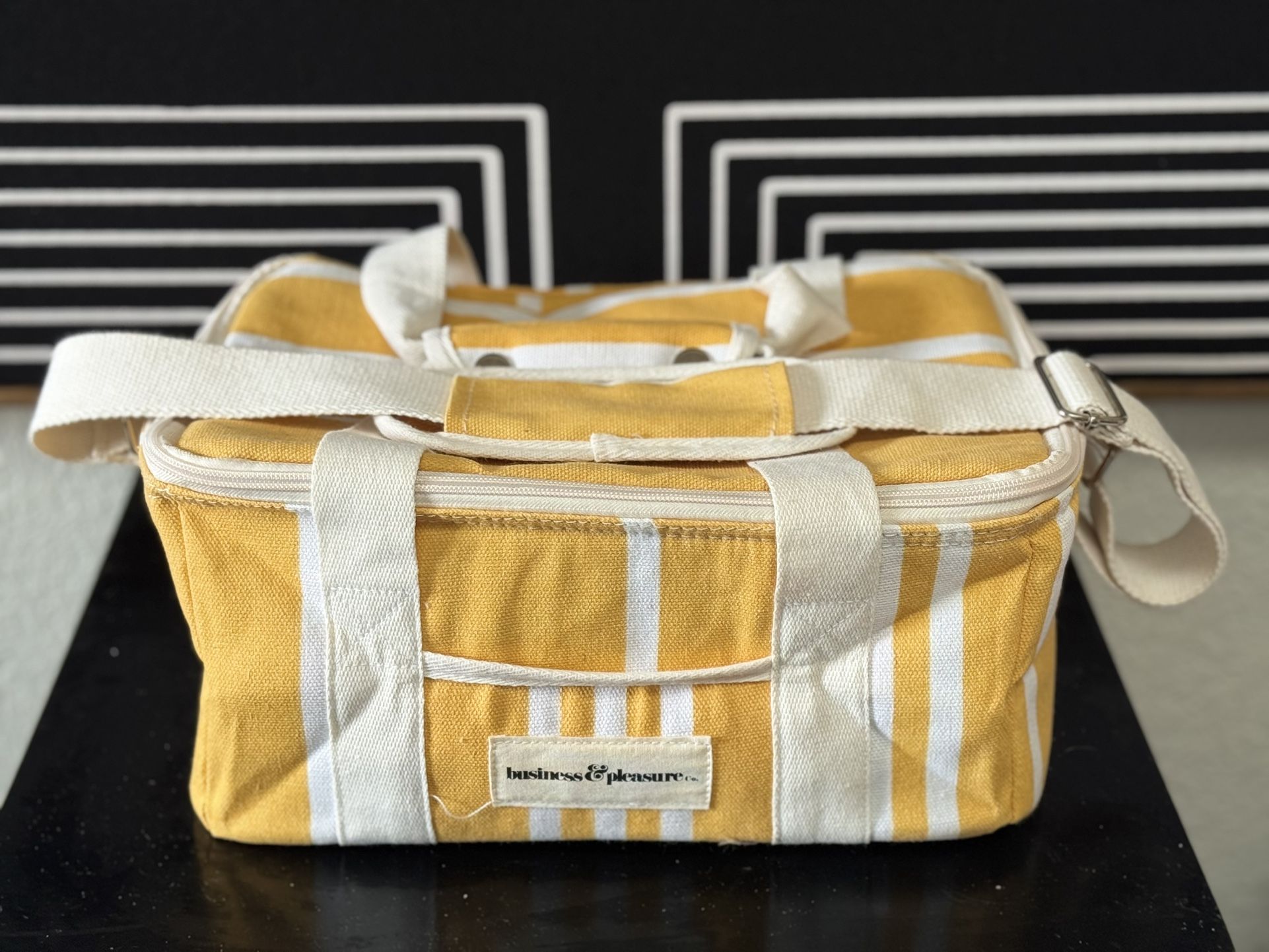 Business and Pleasure Collapsible Insulated cooler/lunchbox