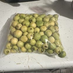 Los Primeros Arrayanes de esta Temporada