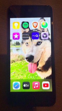 iPod touch 7th gen 256gb pick up only
