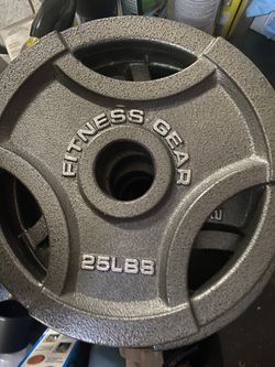 2, 25 pound plates. Weight lifting