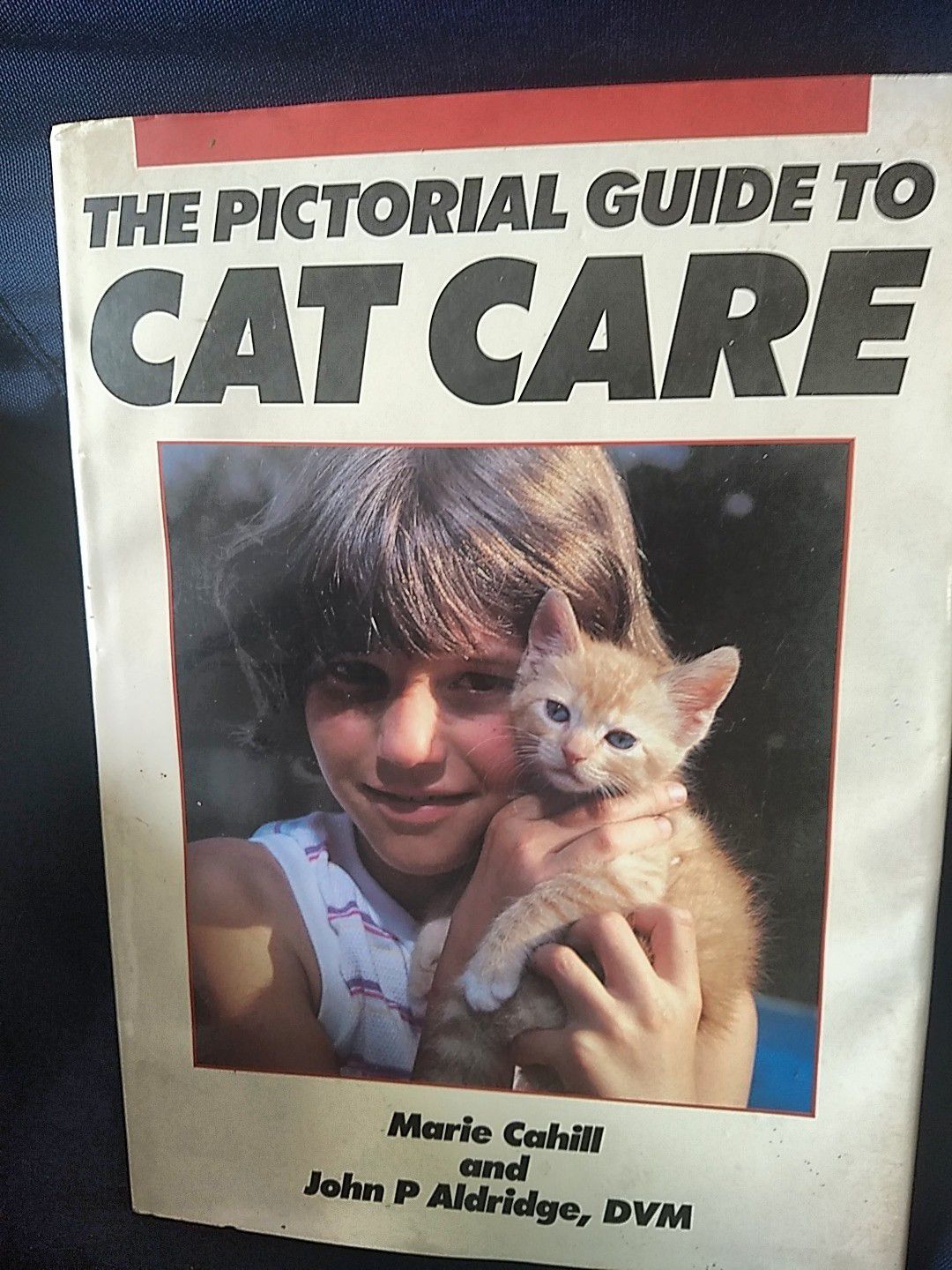 15" x 11" Cat care book - very good condition