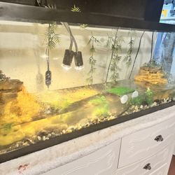 55 Gallon Aquarium And Accessories