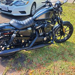 2019 Harley Davidson Iron 883 Thumbnail