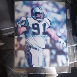 NFL PhotoFile Pictures Carolina Panthers