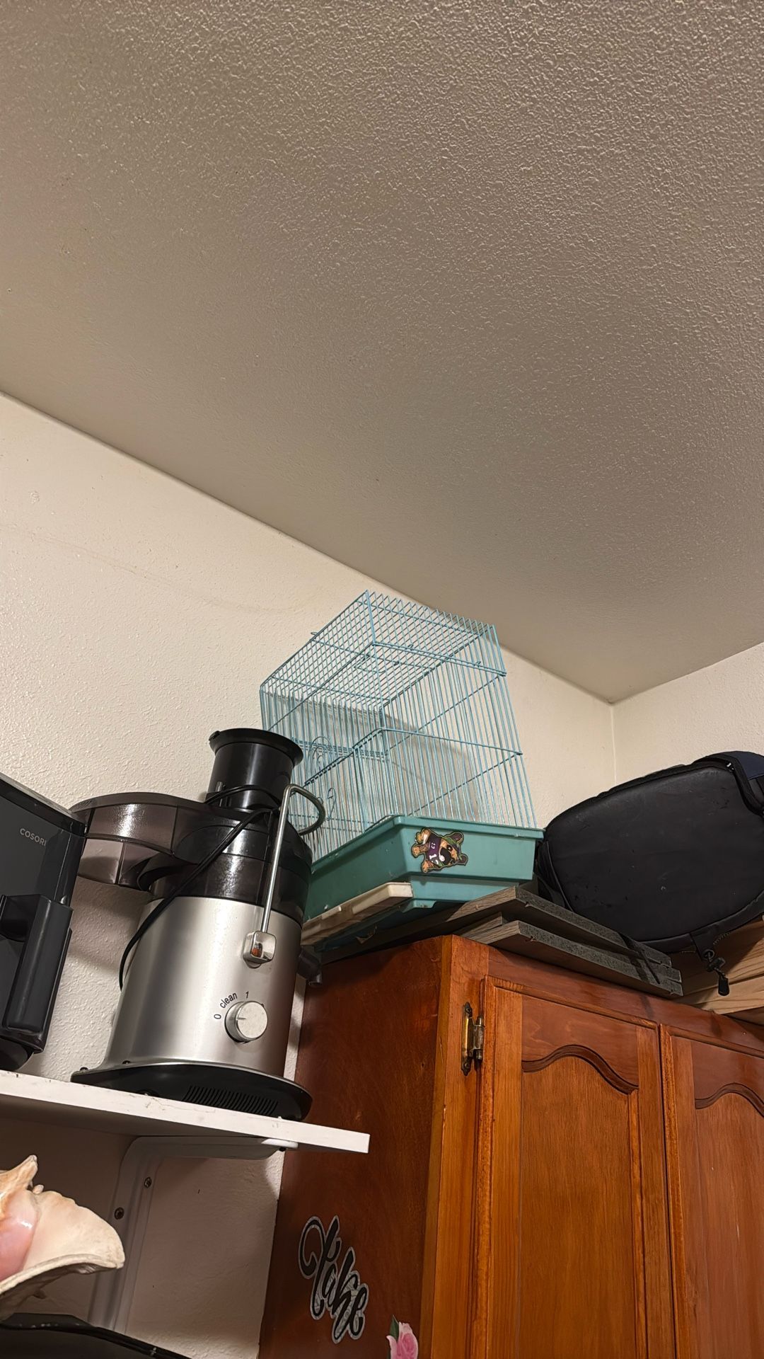 Bird Cage