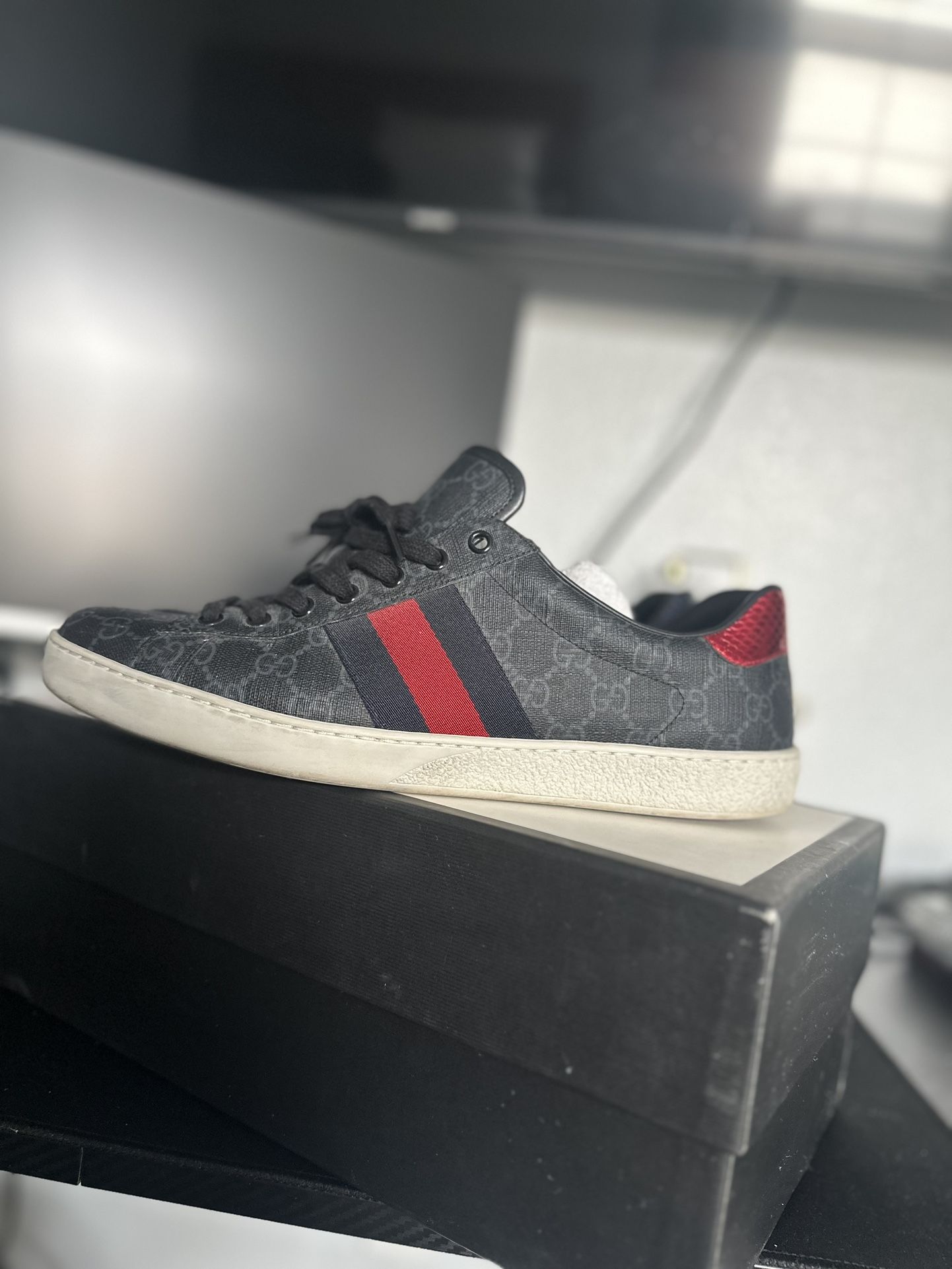 Gucci Shoes Size 11