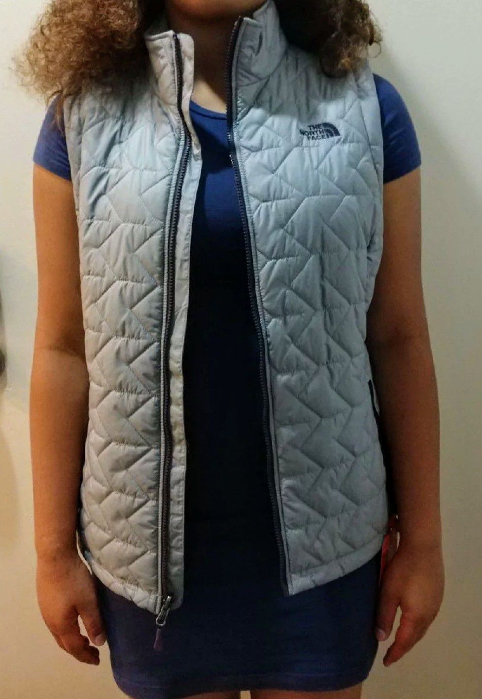 Brand new North Face vest.