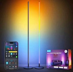 Govee light poles
