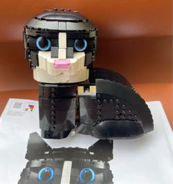 LEGO Ideas Tuxedo black Cat 21349 Set w/ Manual & bunch of Extra Pieces
