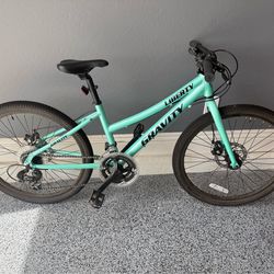 24” mountain bike