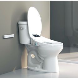 Toilet seat