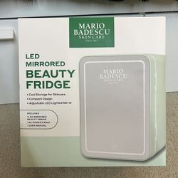 Skincare Fridge 