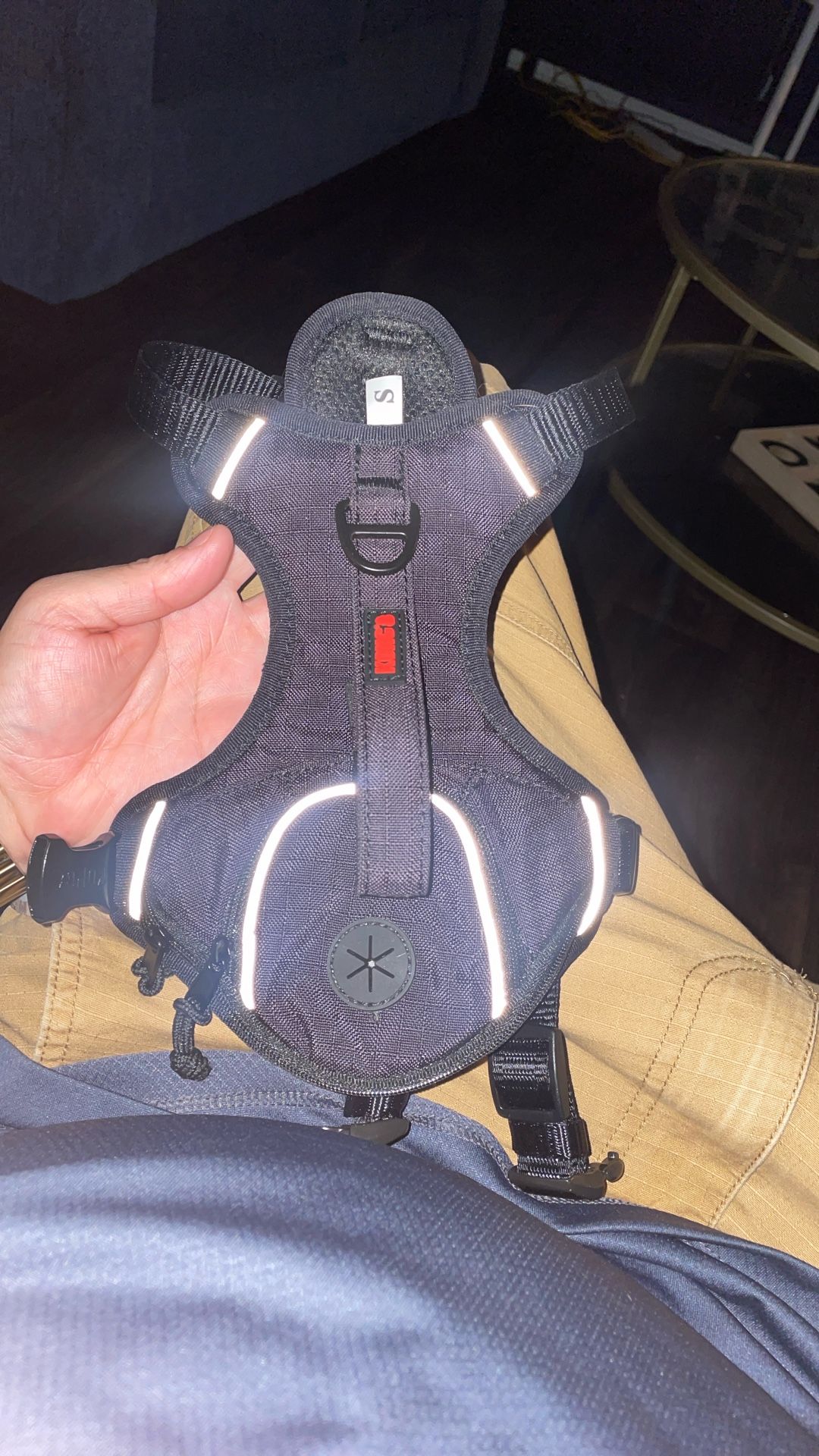 Kong Body Harness
