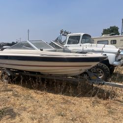 Boat For Sale 
