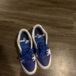 Nike Blue And White Dunk Sb 