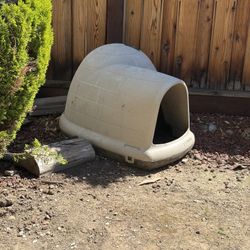 dog igloo house