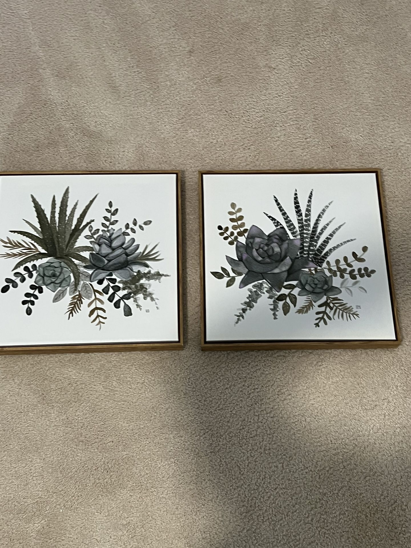 Set of 2 Succulent Canvas 