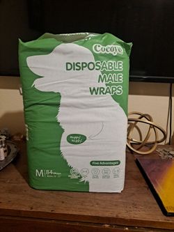 Dog disposable male wraps
