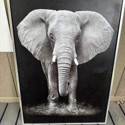 Wall Decor/Artwork
