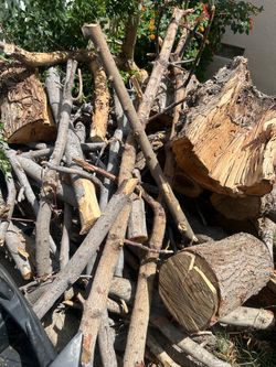 Firewood Logs and Branches Pile