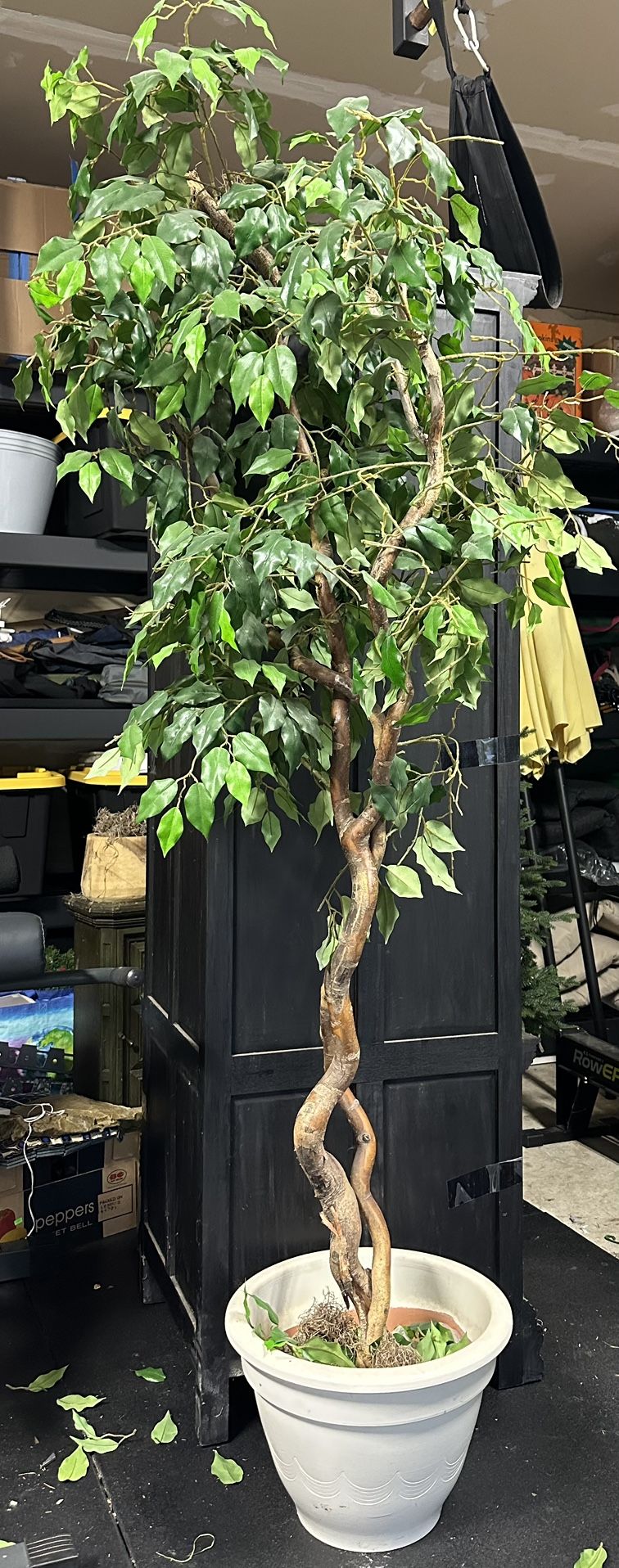Faux Tree - Ficas
