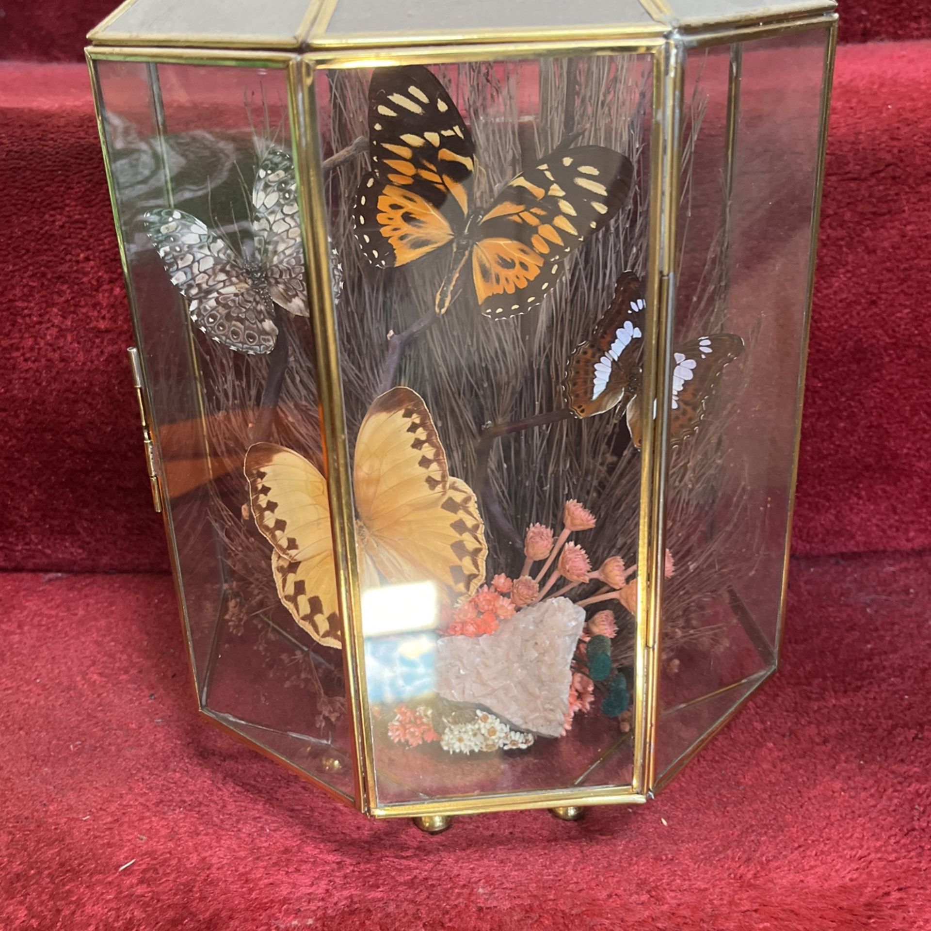 Vivarium