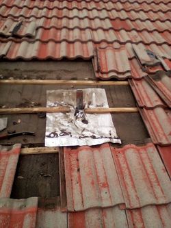 Roofs Roof