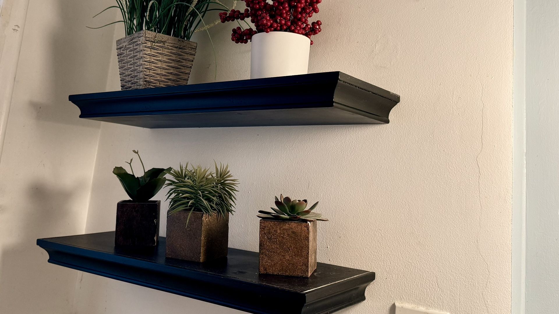 Shelves ( Faux Plants Included)