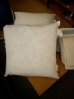 (2) 20x20 Pillows With Various Covers