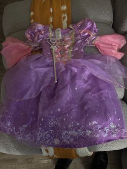 Rapunzel Costume