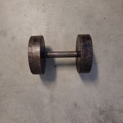 30 LB Dumbbell