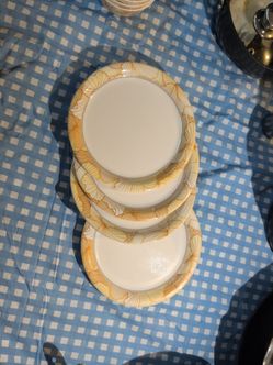 Dinner Plates, bowls, cups with Floral Border