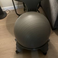 Exercise Ball