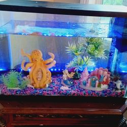 20 Gallons Aquarium Fish Tank 