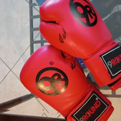 Boxing Glove Like New