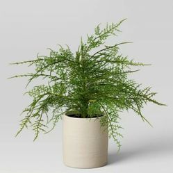 Threshold  Asparagus Artificial Fetn Leaf In Pot