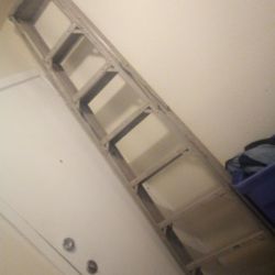 10-footed Ladder