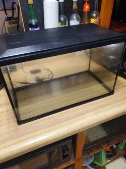 10 gallon  Aquarium / Terrarium with variable lights