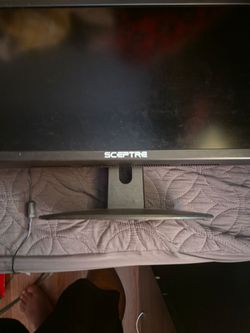 Sceptre 22 inch monitor