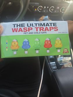 Wasp Traps