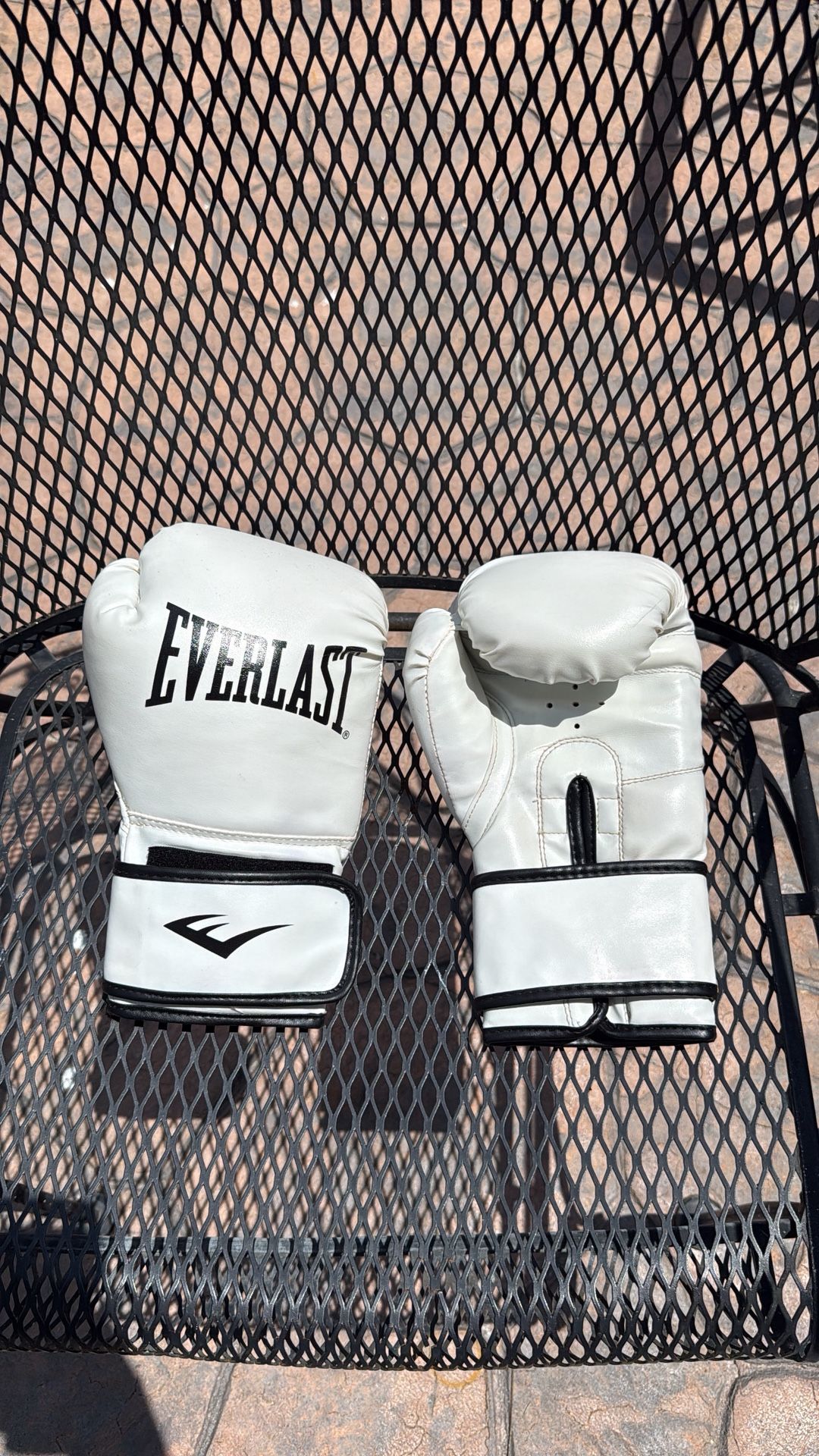 Everlast Boxing Gloves