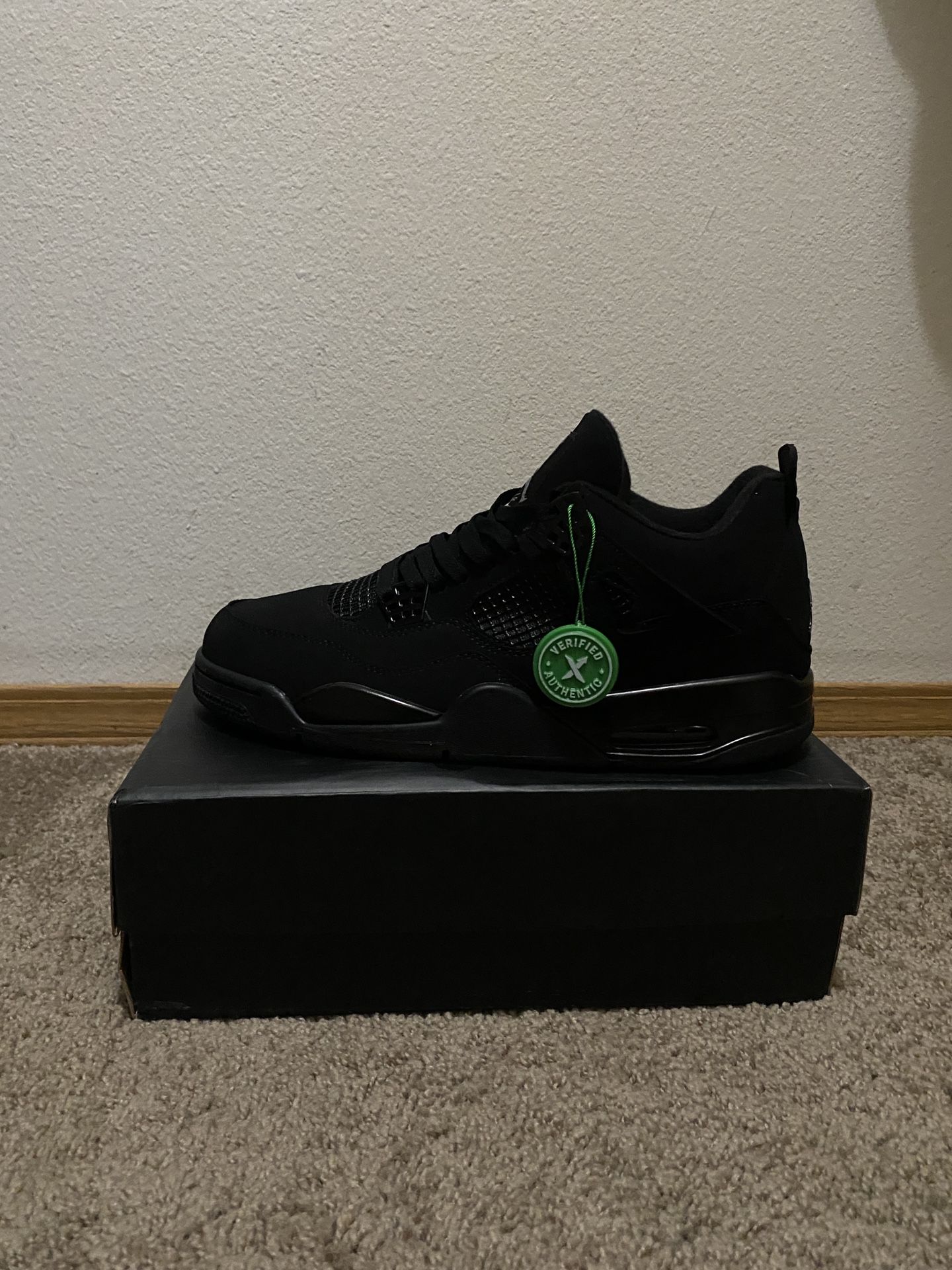 Jordan’s Black Cats