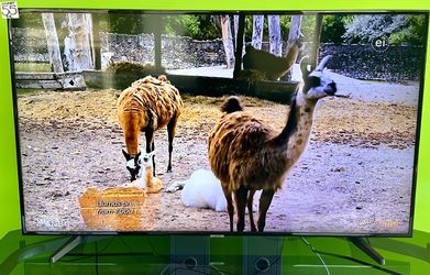 Samsung 55 Inch 4K Smart LED UHD TV