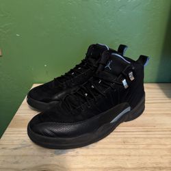 Jordan 12 Nubuck Size 12