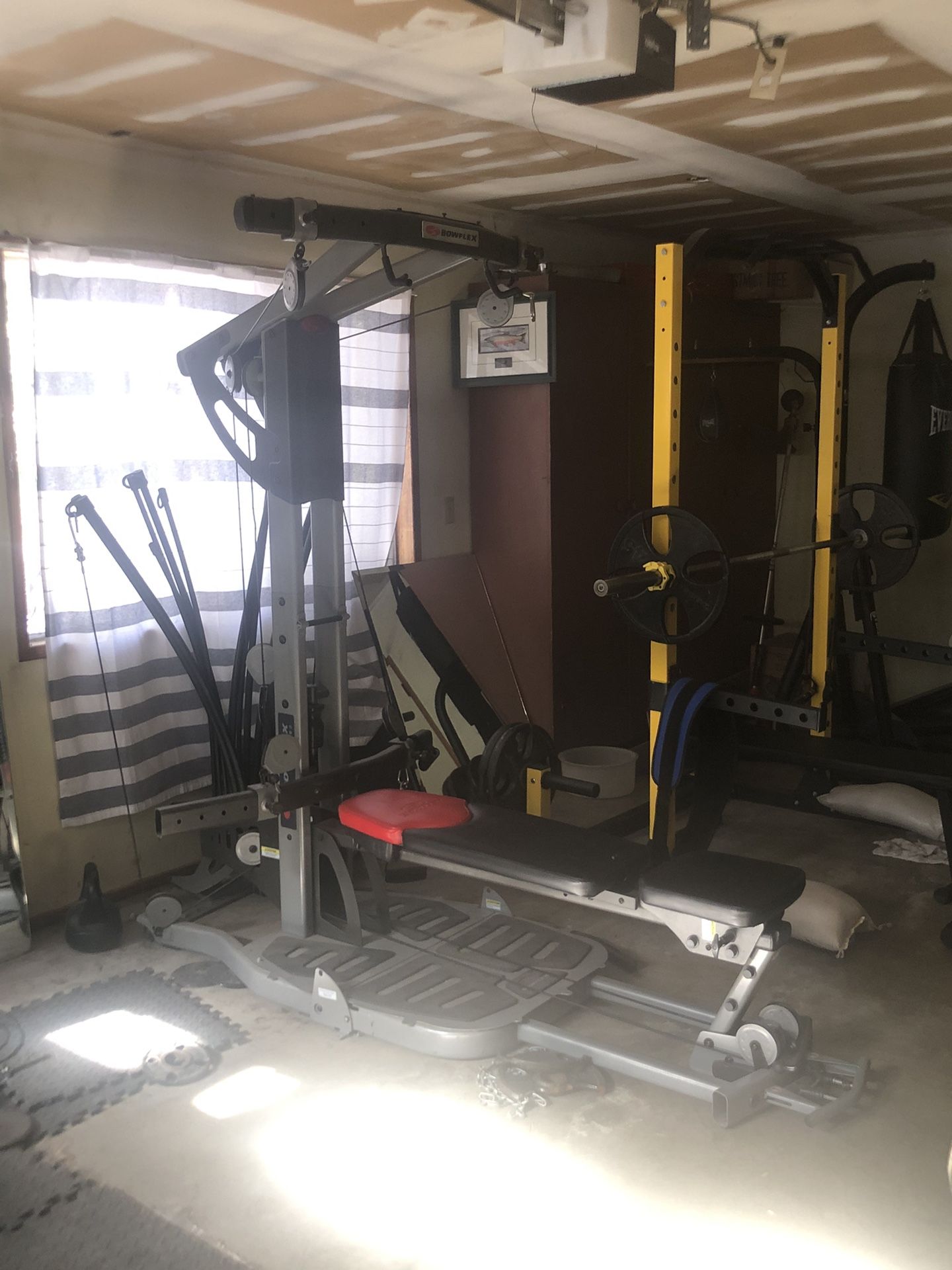 Bowflex Ultimate 2 Workout Machine