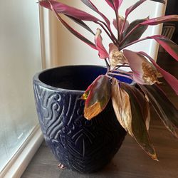 Giant Ceramic Flower Pot