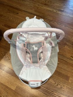 Soothing Baby Bouncer