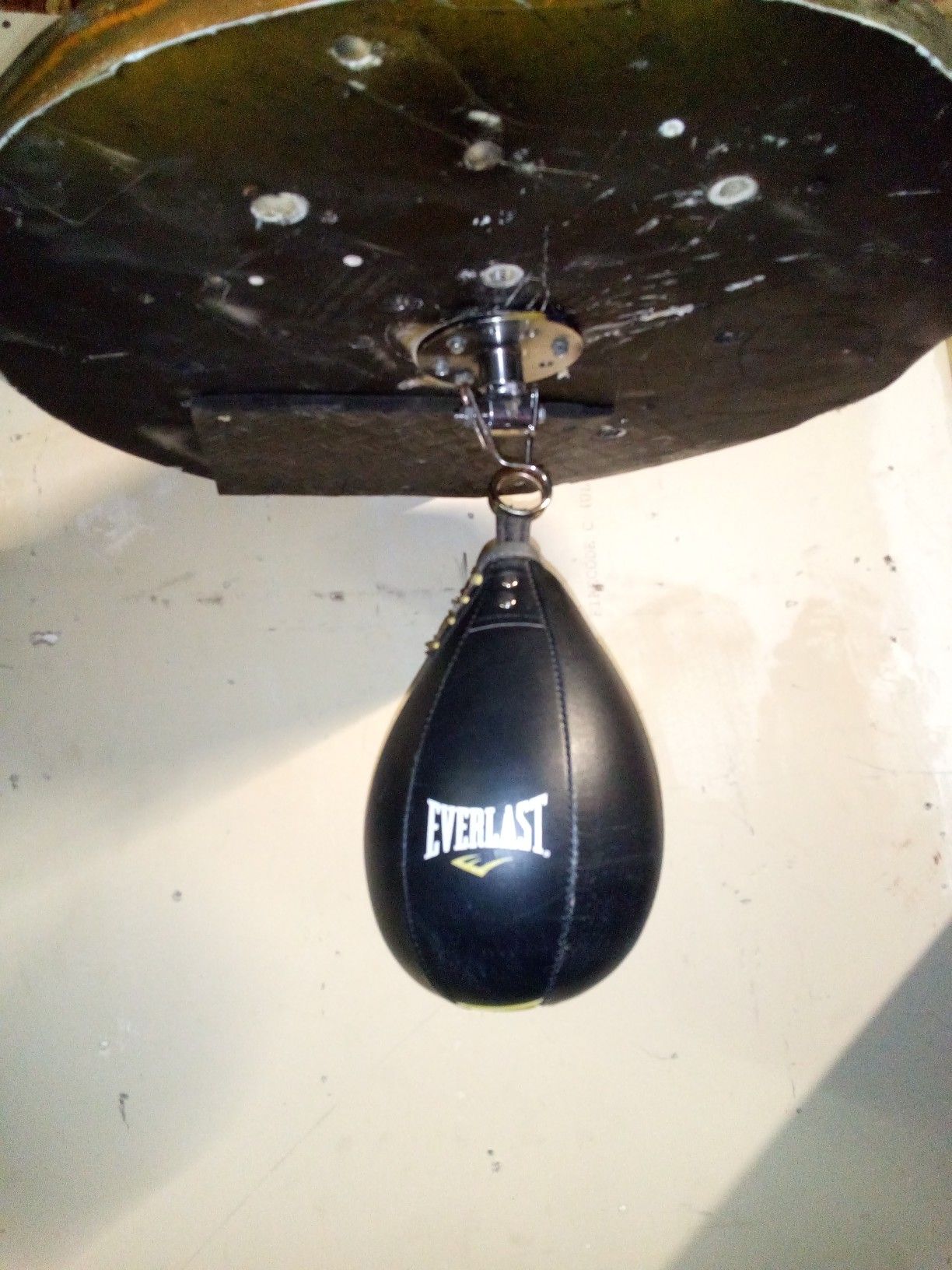 Speed bag