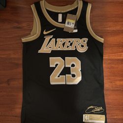 LeBron James Select Series Jersey #23